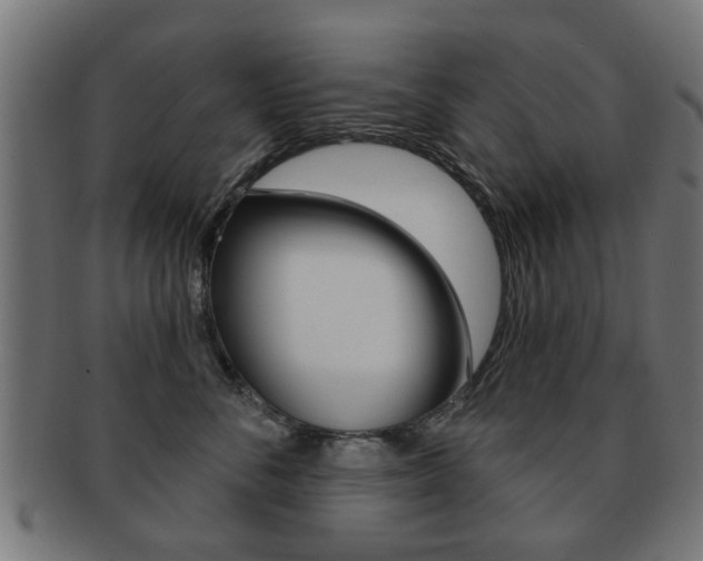 X0000091970716200709061132