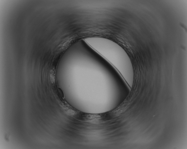 X0000091970719200709061132