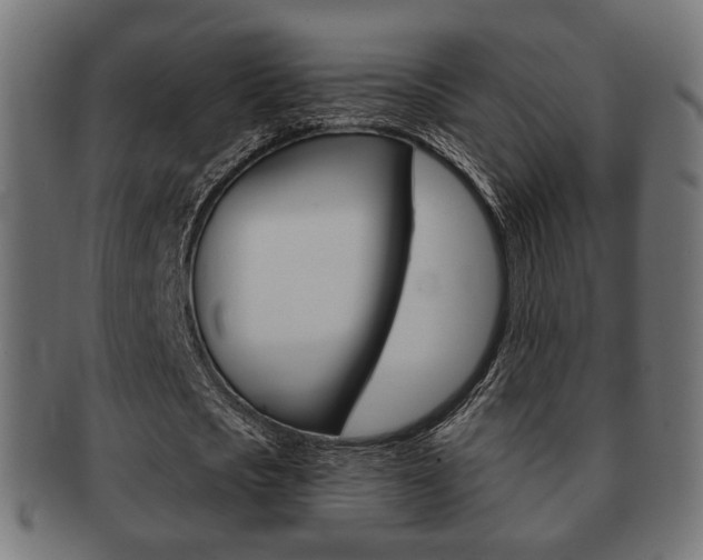 X0000091970721200709061131