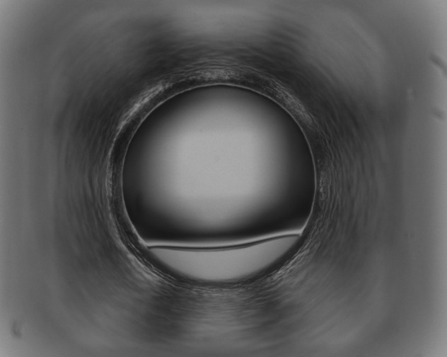 X0000091970722200709061131