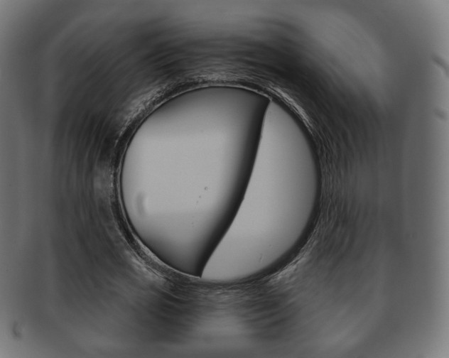 X0000091970725200709061131