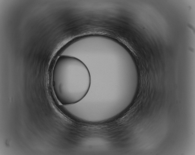 X0000091970726200709061131