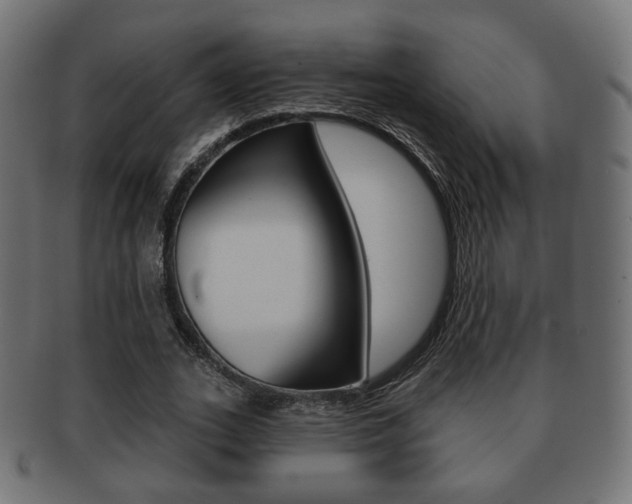 X0000091970727200709061131