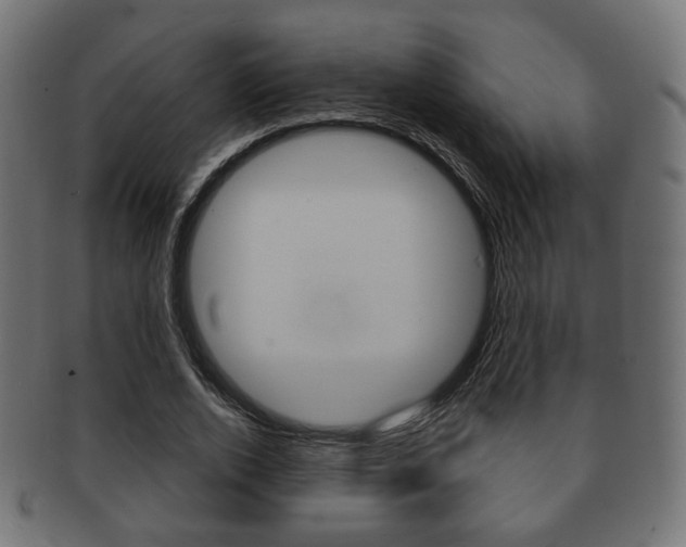X0000091970728200709061131