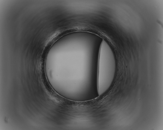 X0000091970730200709061131