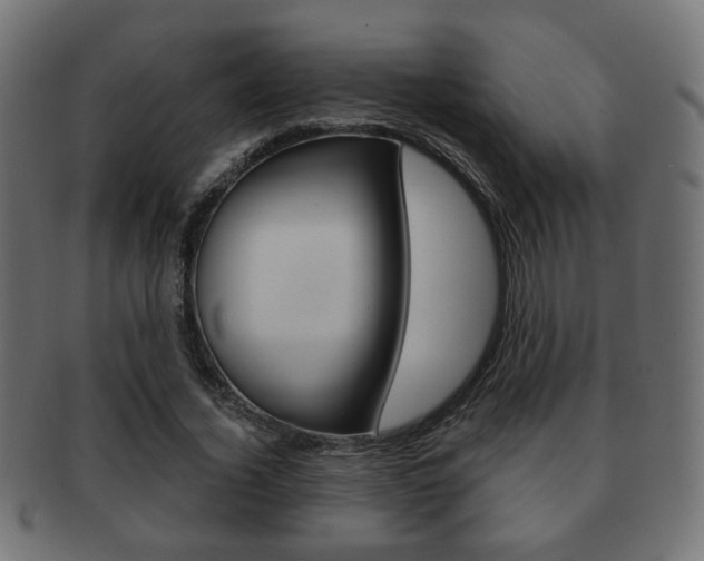 X0000091970732200709061131