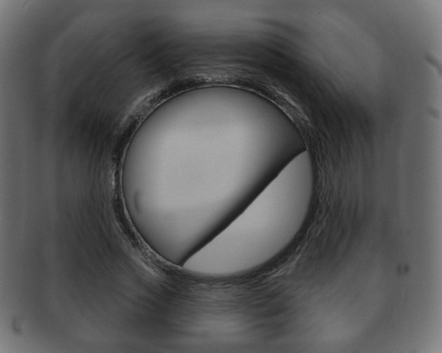 X0000091970733200709061131