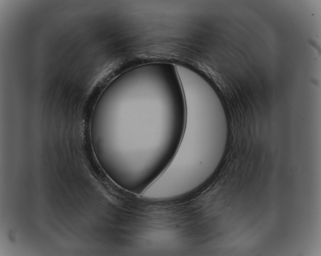 X0000091970735200709061131