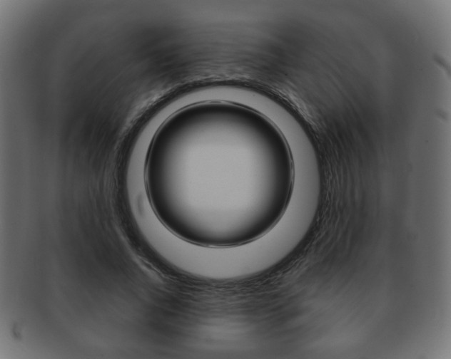 X0000091970736200709061131