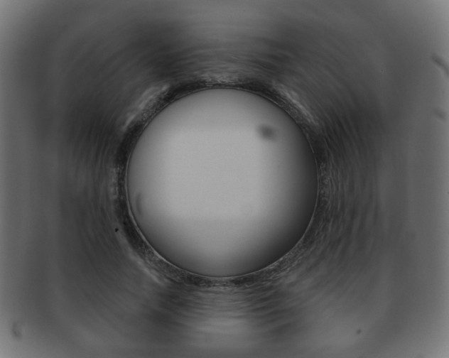 X0000091970738200709061131