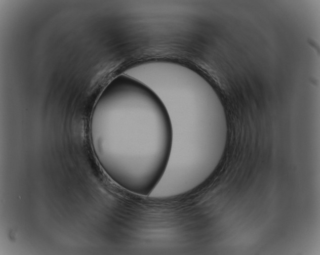 X0000091970740200709061131