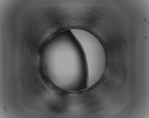 X0000091970742200709061131