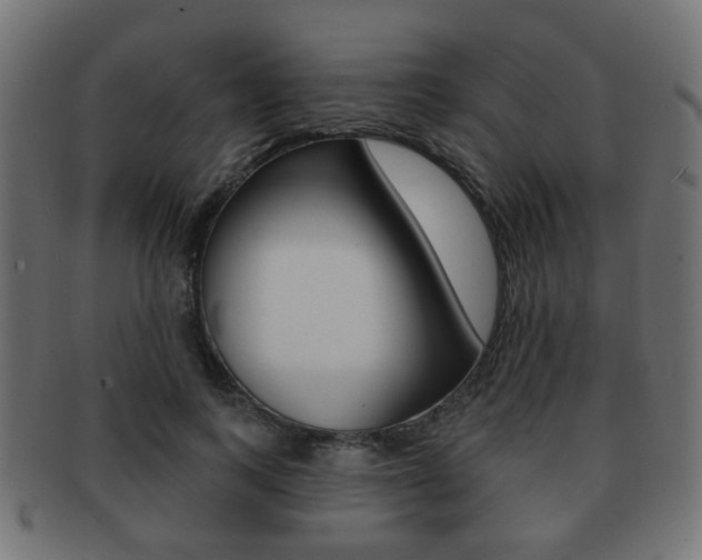 X0000091970743200709061131