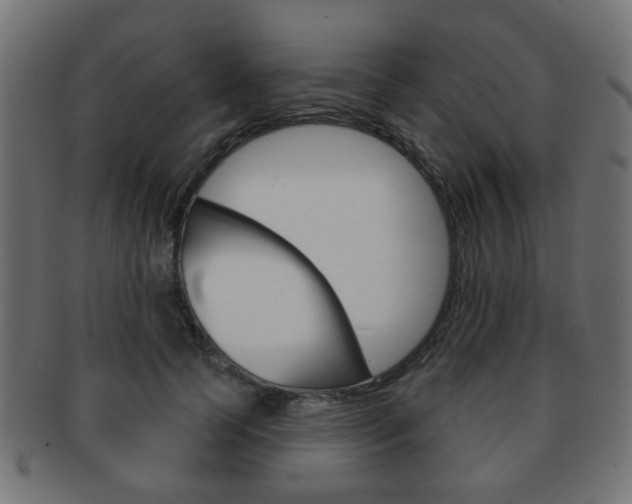 X0000091970745200709061132