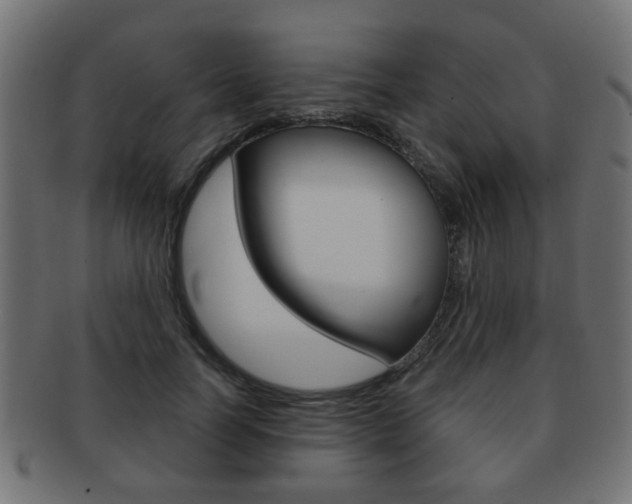 X0000091970746200709061132