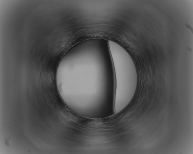 X0000091970747200709061132
