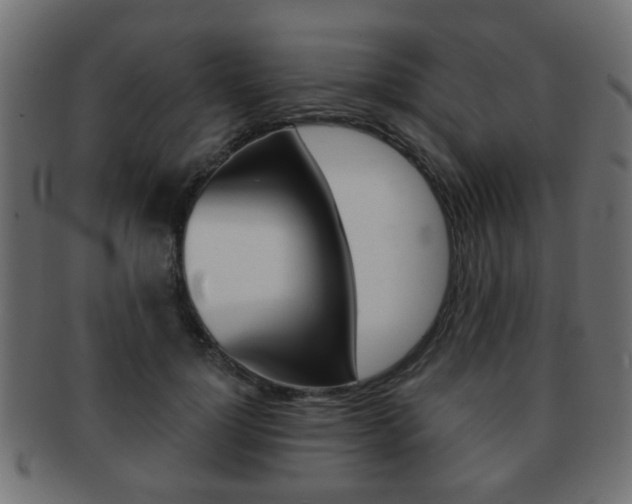X0000091970748200709061132