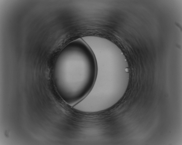 X0000091970750200709061132