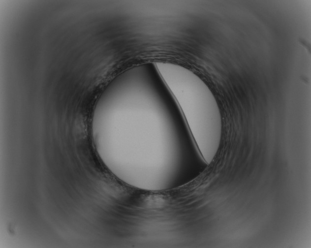 X0000091970751200709061132