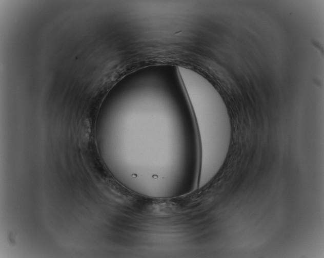 X0000091970752200709061132