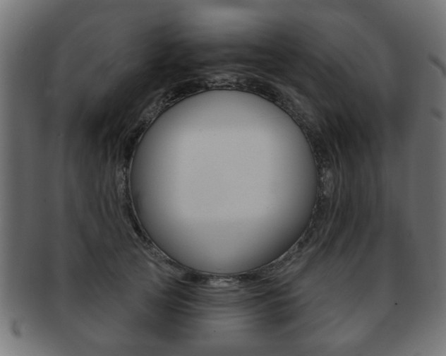 X0000091970753200709061132