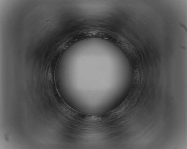 X0000091970754200709061132