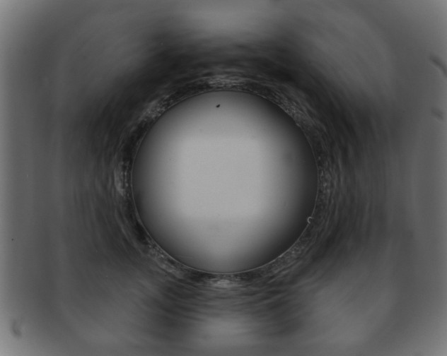 X0000091970755200709061132