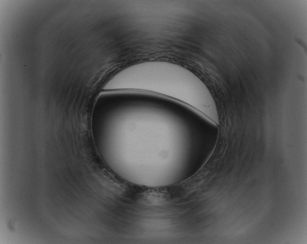 X0000091970756200709061132