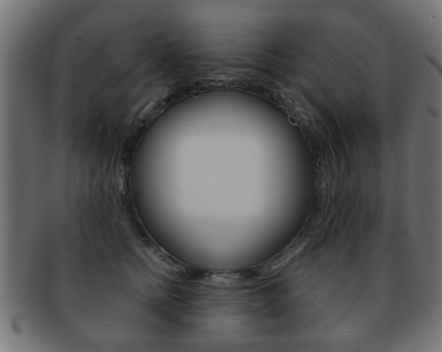 X0000091970758200709061132