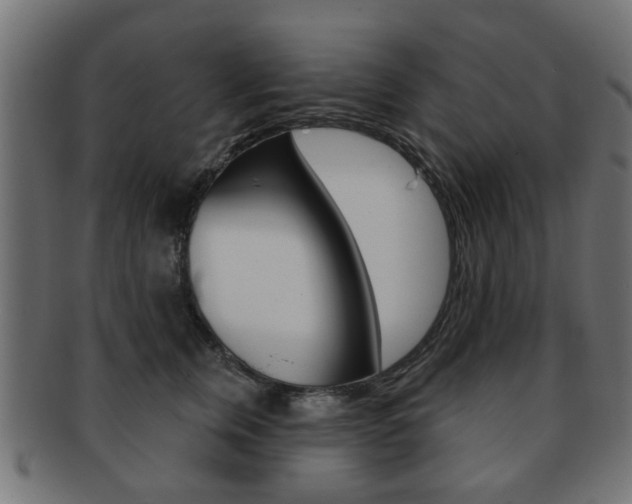 X0000091970759200709061132