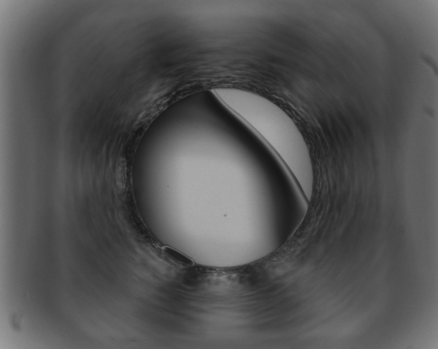 X0000091970760200709061132