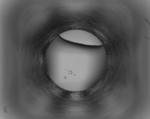 X0000091970761200709061132