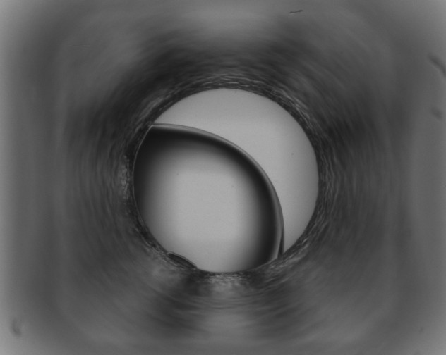 X0000091970762200709061132