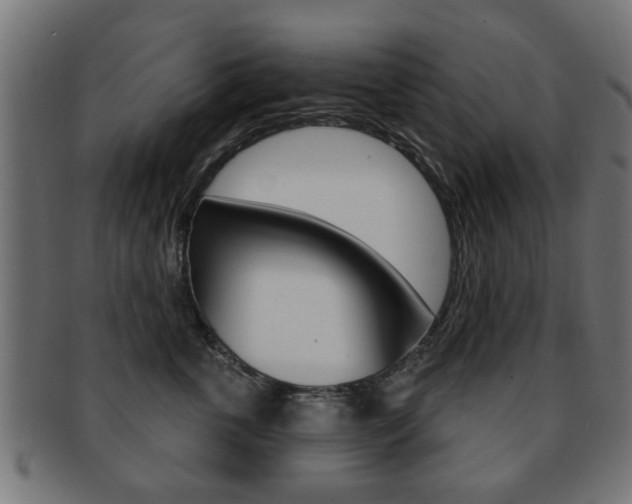 X0000091970763200709061132