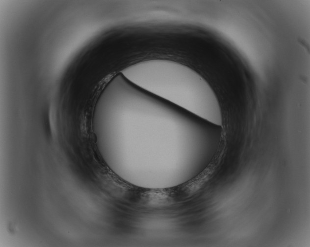 X0000091970765200709061132