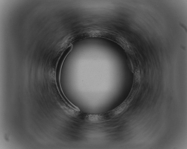 X0000091970766200709061132