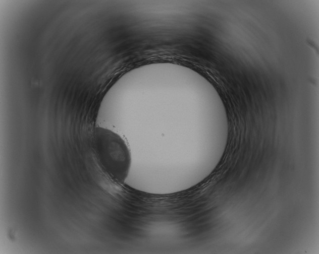 X0000091970767200709061132