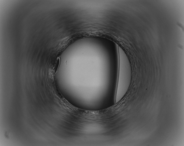 X0000091970768200709061132