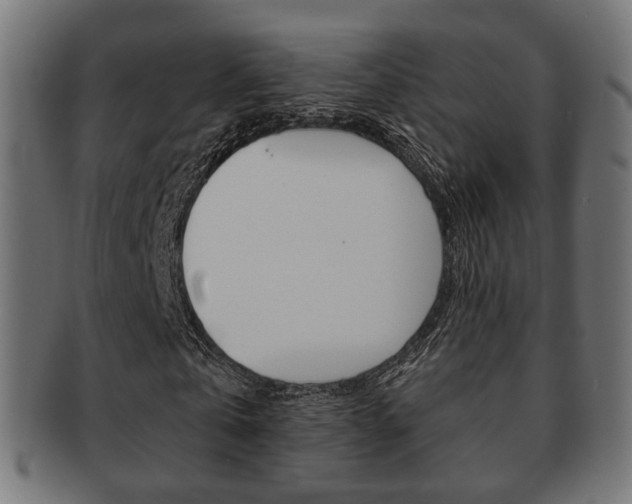 X0000091970769200709061131