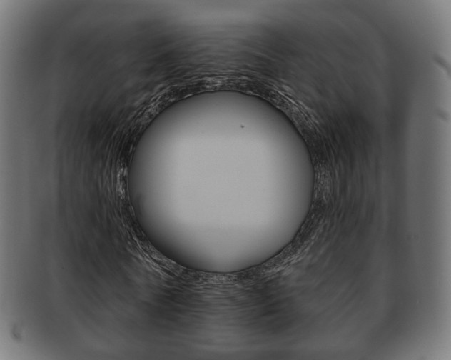 X0000091970770200709061131
