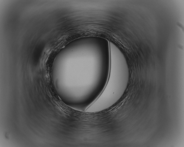 X0000091970771200709061131