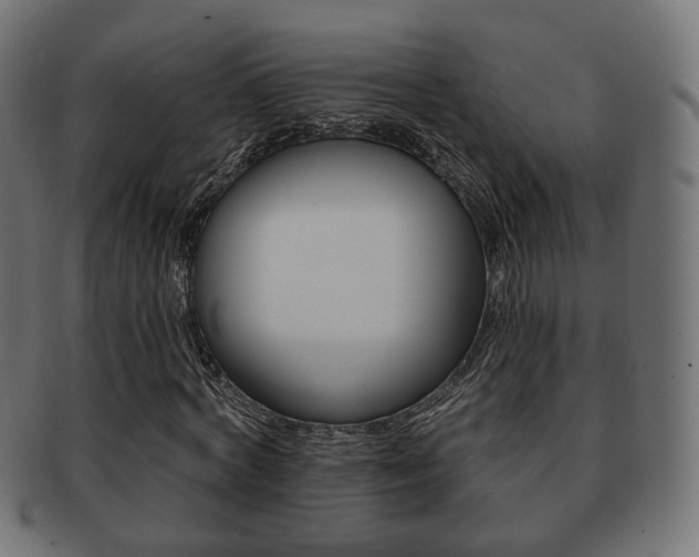 X0000091970772200709061131