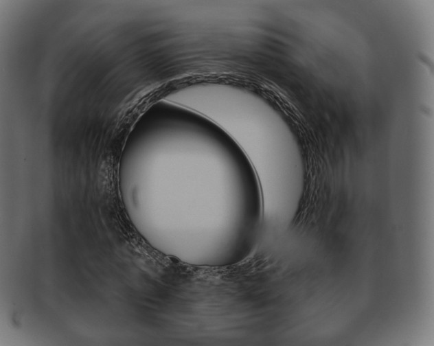 X0000091970773200709061131
