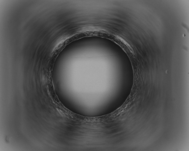X0000091970775200709061131