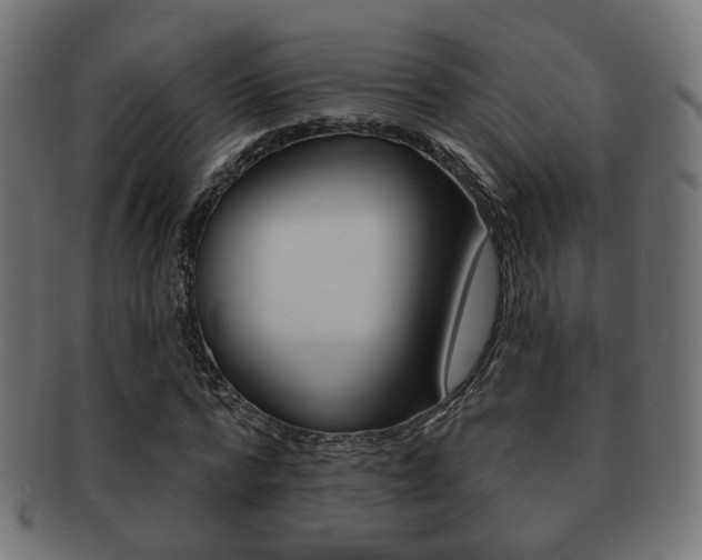 X0000091970776200709061131