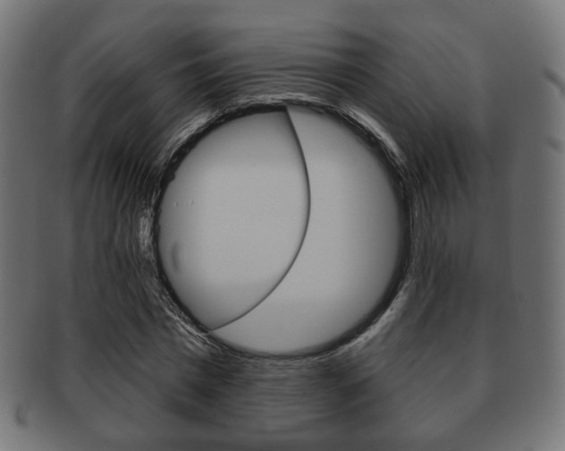 X0000091970777200709061131