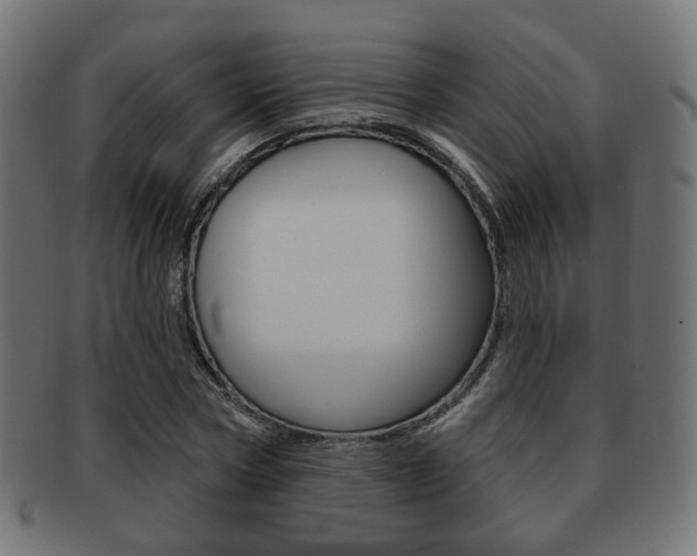 X0000091970778200709061131
