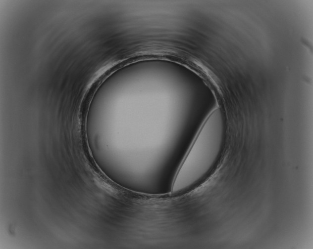X0000091970779200709061131
