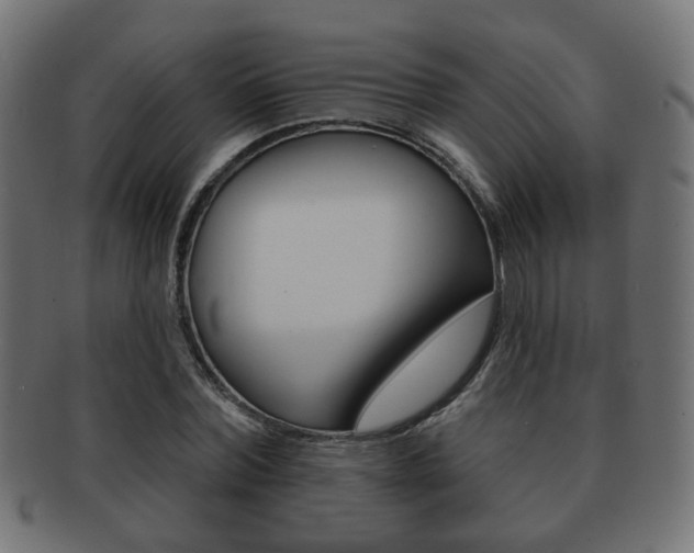 X0000091970780200709061131