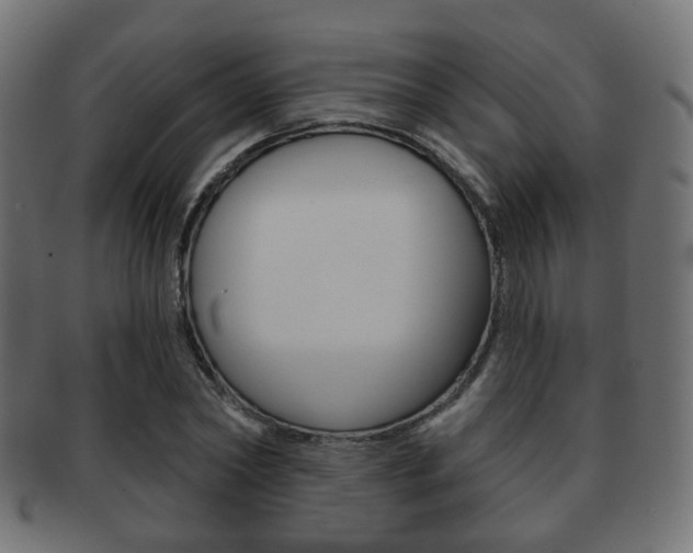X0000091970782200709061131